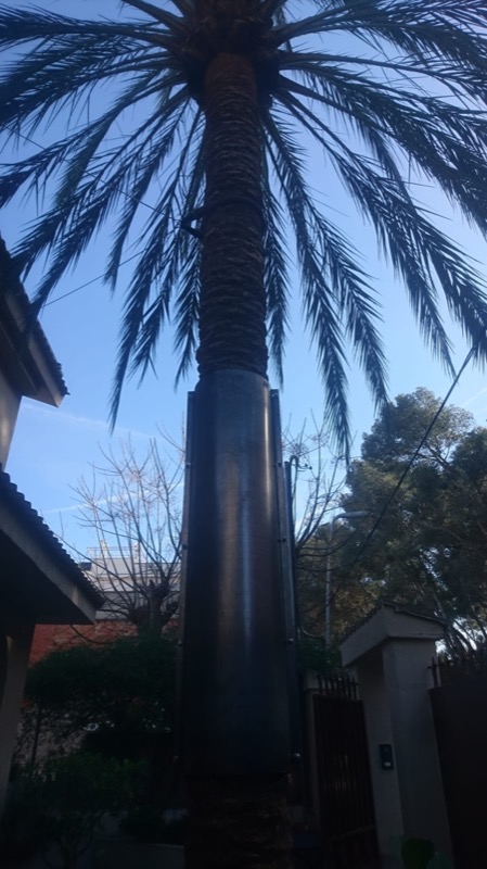Detalle de la armadura de protección de la palmera