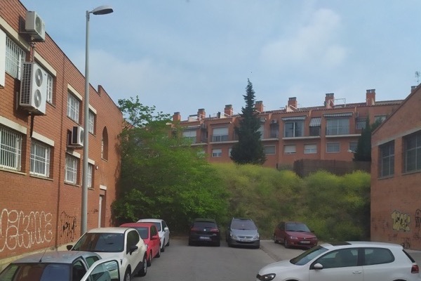 Cortar ciprés en Mollet del Vallés (Sabadell)