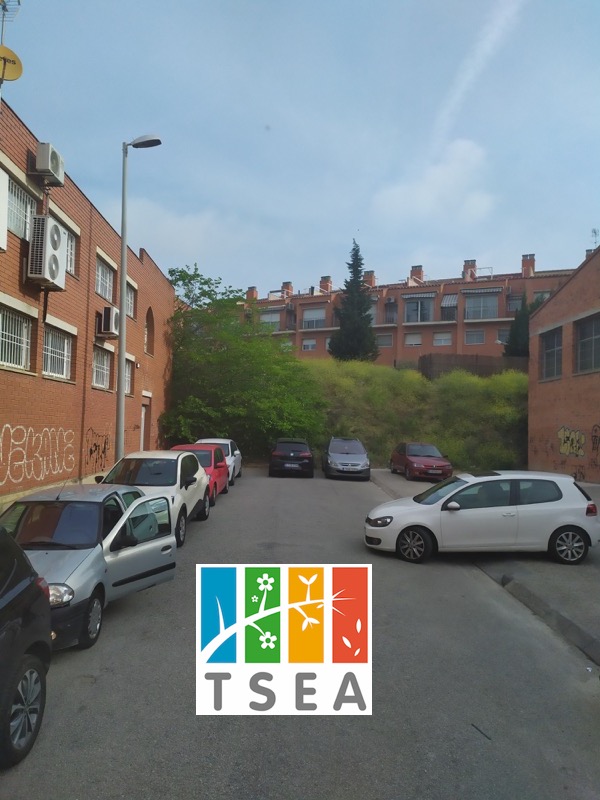 talar cipres mollet barcelona 1