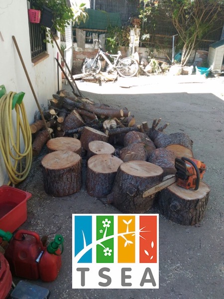Riesgo de caída en pinos