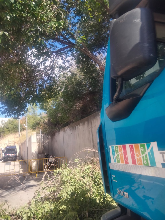 Poda de árboles y retirada de restos vegetales en Esplugues de Llobregat