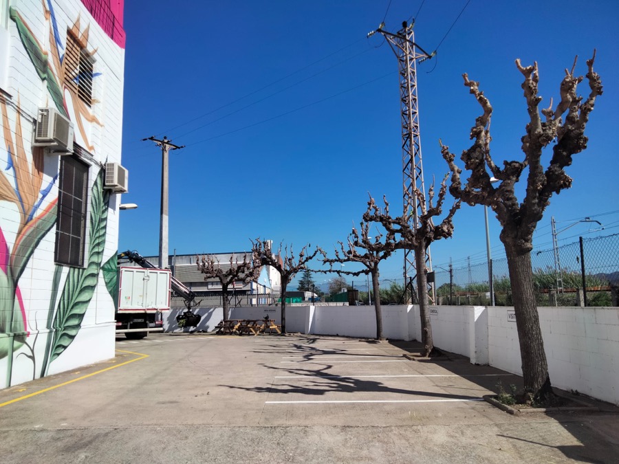 poda arboles valles oriental